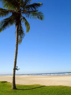 MAXSA® Solar-Powered LED Flag Light 7 MAXSA® Solar-Powered LED Flag Light -Garden Series Store 8611318 02v