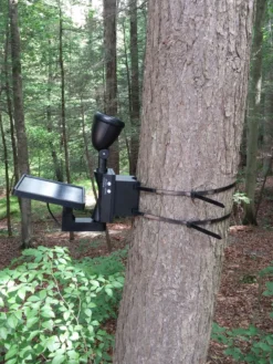 MAXSA® Solar-Powered LED Flag Light 9 MAXSA® Solar-Powered LED Flag Light -Garden Series Store 8611318 03v