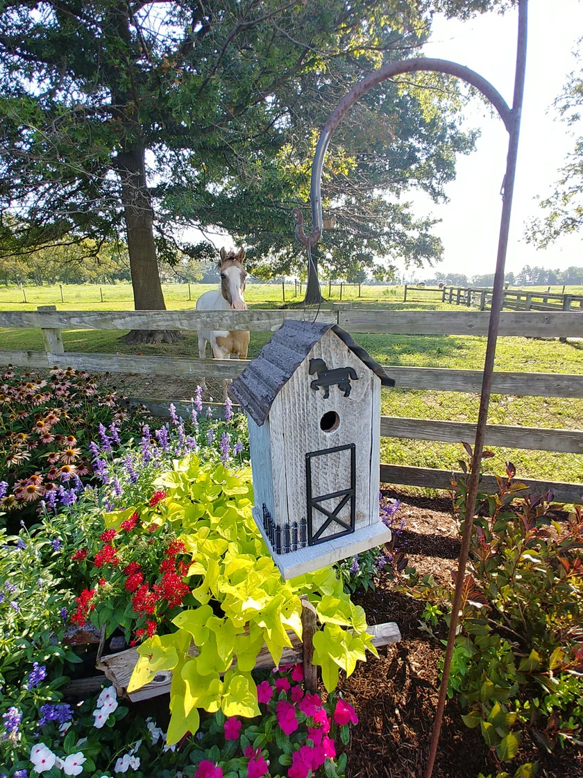 Summitville Stable Bird House 1 Summitville Stable Bird House