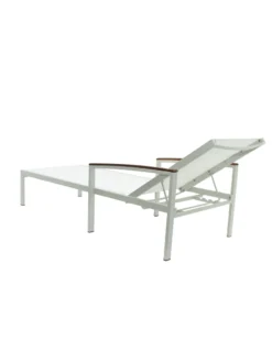 Braylee Reclining Chaise Lounge -Garden Series Store 8612262 06v