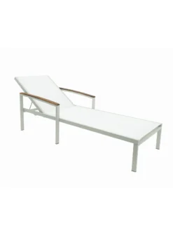 Braylee Reclining Chaise Lounge -Garden Series Store 8612262 08v