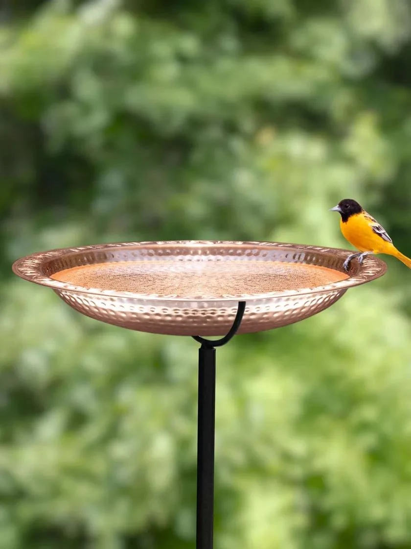 Copper Birdbath, 18" With Stake 1 Copper Birdbath, 18" With Stake