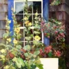 Summer House Outdoor Wall Art