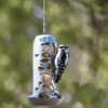 Suet Ball Feeder