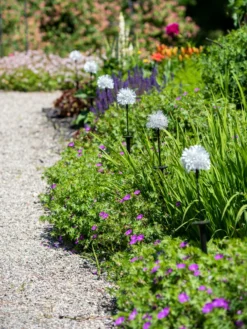 Dandelion Solar Stake -Garden Series Store 8612713 4472