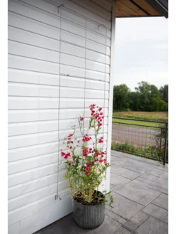 Chicken Wire Wall Trellis -Garden Series Store 8612717 0081