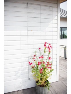 Chicken Wire Wall Trellis -Garden Series Store 8612717 0093