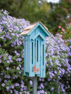 Heartwood Flutter Flat Butterfly House