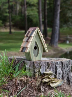 Vintage Wren Bird House -Garden Series Store 8612783 02v