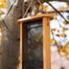 Spruce Creek Tall Finch Feeder