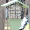 Birds Choice™ Tail Prop Feeder