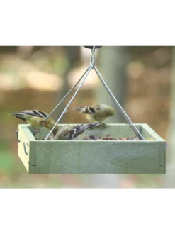 Birds Choice™ Tray Bird Feeder, Small 6 Birds Choice™ Tray Bird Feeder, Small -Garden Series Store 8613221 03v