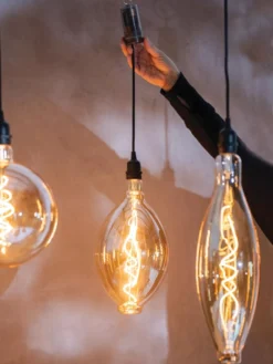 Retro Essence™ Vintage LED Light Bulbs 11 Retro Essence™ Vintage LED Light Bulbs -Garden Series Store 8613229 7066