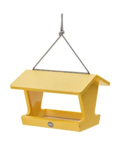 Color Pop Hopper Bird Feeder