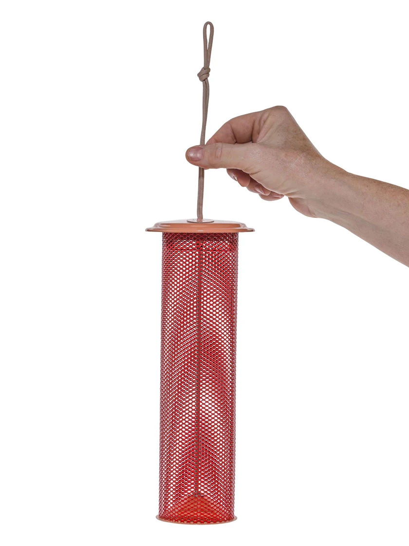 Color Pop Magnet Mesh Tube Feeder For Finches 2 Color Pop Magnet Mesh Tube Feeder For Finches - Image 2