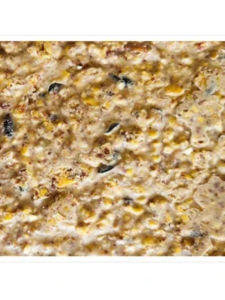 Peanut Apple Suet, 11.75 OZ, 12 Pack 7 Peanut Apple Suet, 11.75 OZ, 12 Pack -Garden Series Store webimage 8613690 04V