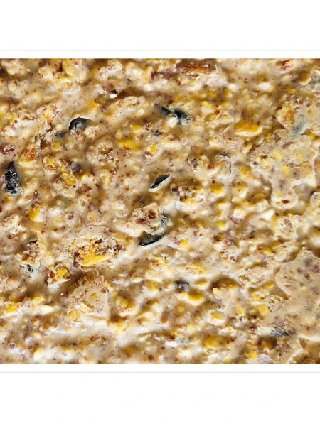 Peanut Apple Suet, 11.75 OZ, 12 Pack 4 Peanut Apple Suet, 11.75 OZ, 12 Pack - Image 4