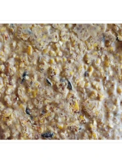 Woodpecker Almond Suet, 11.75 OZ, 12 Pack 7 Woodpecker Almond Suet, 11.75 OZ, 12 Pack -Garden Series Store webimage 8613691 04V